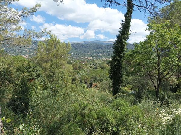 À vendre : Terrain de 1323 m² dans un secteur calme à Peymeinade - Candéou