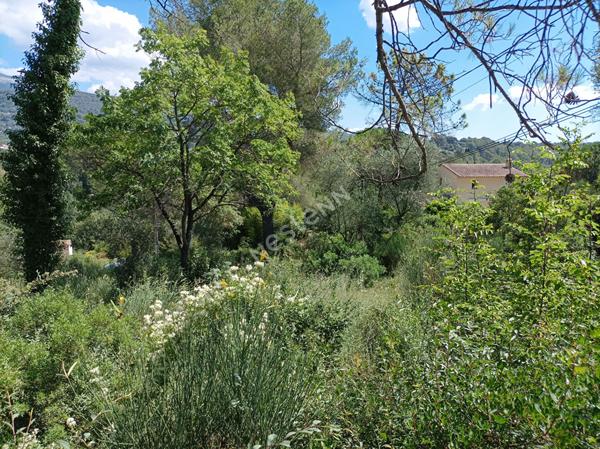 À vendre : Terrain de 1323 m² dans un secteur calme à Peymeinade - Candéou