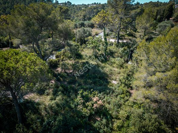 À vendre : Terrain de 1323 m² dans un secteur calme à Peymeinade - Candéou