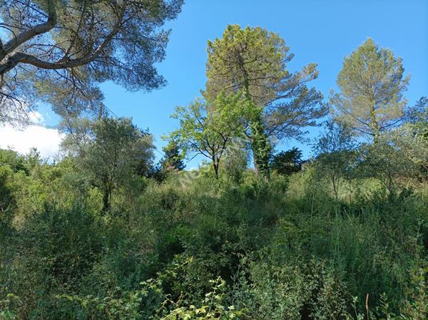 À vendre : Terrain de 1323 m² dans un secteur calme à Peymeinade - Candéou