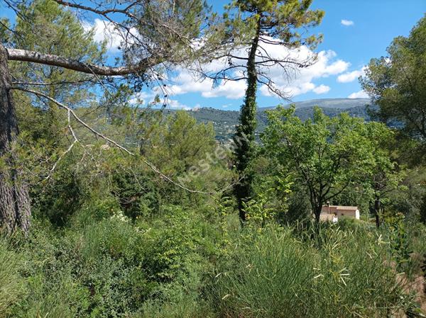 À vendre : Terrain de 1323 m² dans un secteur calme à Peymeinade - Candéou