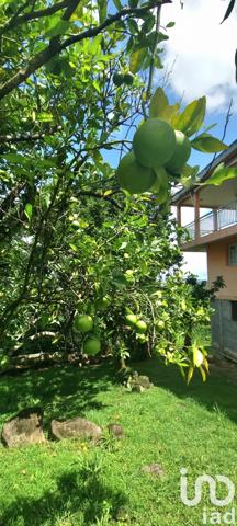 Maison à vendre 9 pièces 250 m² Ducos