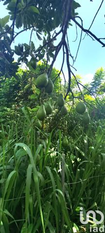 Maison à vendre 9 pièces 250 m² Ducos