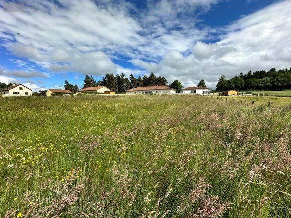 Terrain à Batir à vendre à Anglards-de-Saint-Flour dans le Cantal (15100), ref : 15046-11