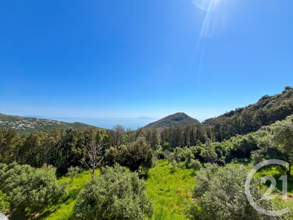 Maison à vendre  6 pièces - 169 m2 SAN MARTINO DI LOTA - 202