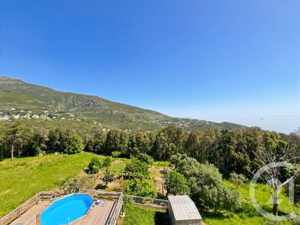 Maison à vendre  6 pièces - 169 m2 SAN MARTINO DI LOTA - 202