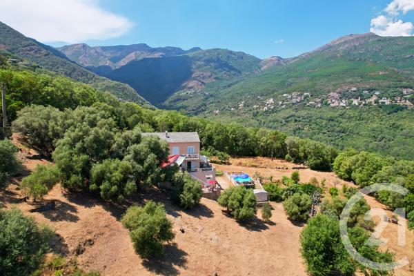 Maison à vendre  6 pièces - 169 m2 SAN MARTINO DI LOTA - 202