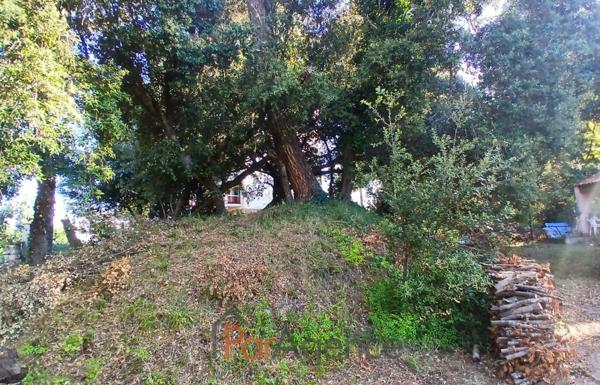 TERRAIN ARBORE à 100 M PLAGE DE NAUZAN