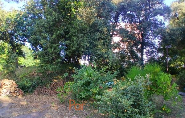 TERRAIN ARBORE à 100 M PLAGE DE NAUZAN