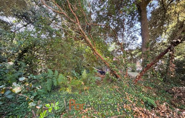 TERRAIN ARBORE à 100 M PLAGE DE NAUZAN