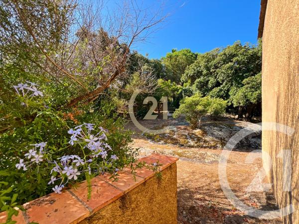 Maison à vendre  5 pièces - 142,84 m2 CALVI - 202