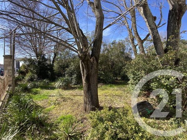 Terrain à vendre  2580 m 2   CARPENTRAS  - 84