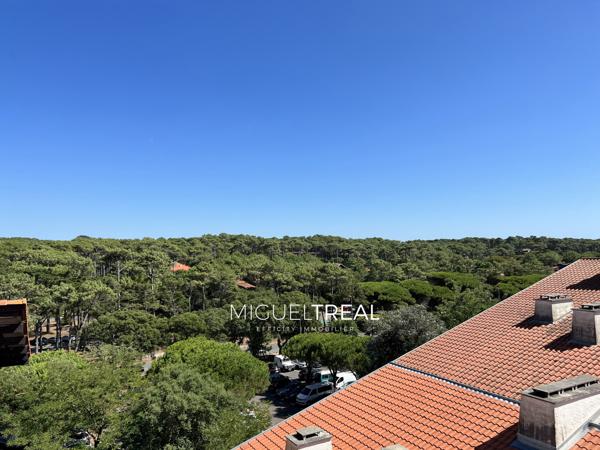 Appartement 3 pièces - 62 m²