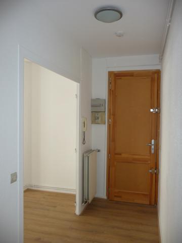 Saint Etienne proche Sciences Po appartement en duplex 3 chambres Saint-Étienne (42000)