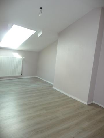 Saint Etienne proche Sciences Po appartement en duplex 3 chambres Saint-Étienne (42000)