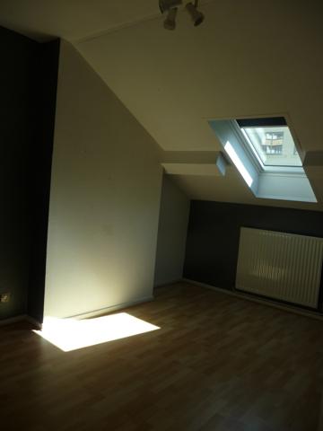 Saint Etienne proche Sciences Po appartement en duplex 3 chambres Saint-Étienne (42000)