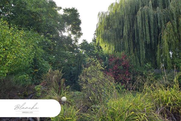 Dpt Nord (59), à vendre proche de PERENCHIES terrain