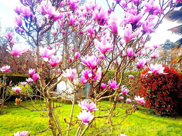 Maison traditionnelle de 120 m²