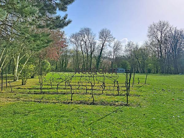 A vendre, Propriété d'architecte d'exception aux portes de Caen.