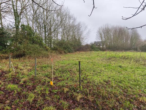 Terrain - 1993 m² Exclusivité efficity