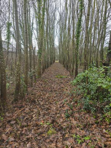 Terrain - 1993 m² Exclusivité efficity