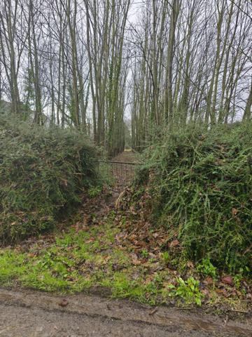 Terrain - 1993 m² Exclusivité efficity