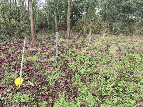 Terrain - 1993 m² Exclusivité efficity