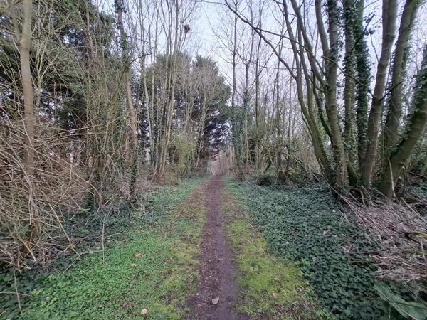 Achat - Terrain de loisirs, bois, étangs Ames 62190 1163 m 2