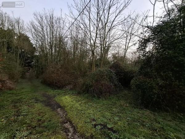 Achat - Terrain de loisirs, bois, étangs Ames 62190 1163 m 2