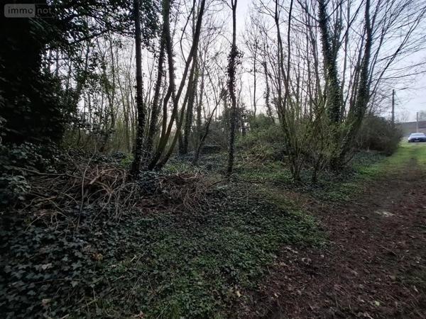 Achat - Terrain de loisirs, bois, étangs Ames 62190 1163 m 2