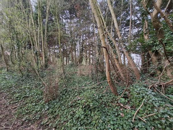 Achat - Terrain de loisirs, bois, étangs Ames 62190 1163 m 2