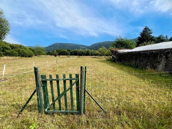 Vente                                                      Maison de village
                        
                     7 pièces                      134 m2                     à Celles-sur-Plaine