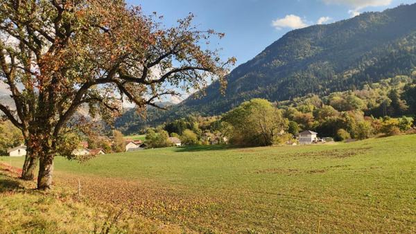 TERRAIN À FORT POTENTIEL – 10 961 M² DONT 6 596 M² CONSTRUCTIBLES
