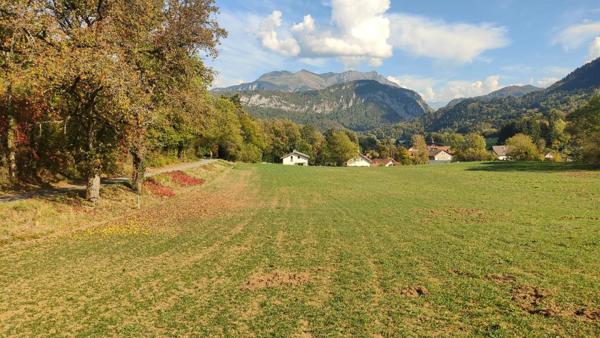 TERRAIN À FORT POTENTIEL – 10 961 M² DONT 6 596 M² CONSTRUCTIBLES