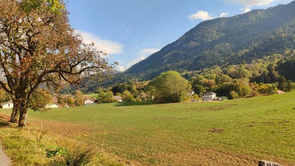 TERRAIN À FORT POTENTIEL – 10 961 M² DONT 6 596 M² CONSTRUCTIBLES