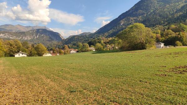TERRAIN À FORT POTENTIEL – 10 961 M² DONT 6 596 M² CONSTRUCTIBLES