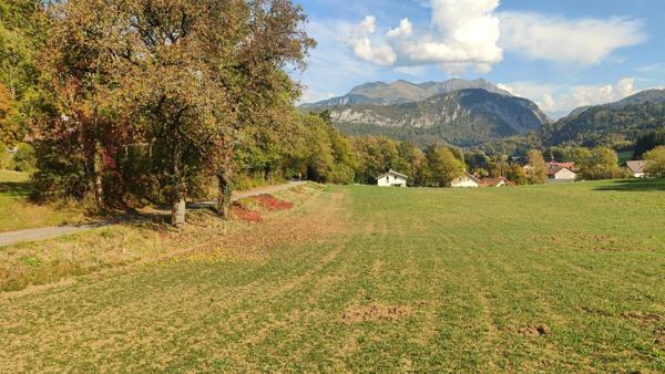 TERRAIN À FORT POTENTIEL – 10 961 M² DONT 6 596 M² CONSTRUCTIBLES