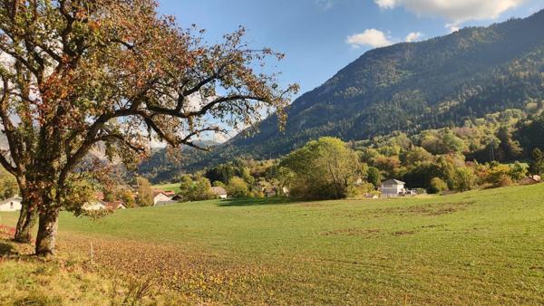 TERRAIN À FORT POTENTIEL – 10 961 M² DONT 6 596 M² CONSTRUCTIBLES