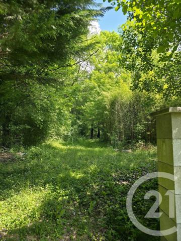 Terrain à vendre  1563 m2 AY CHAMPAGNE - 51