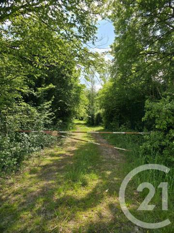 Terrain à vendre  1563 m2 AY CHAMPAGNE - 51