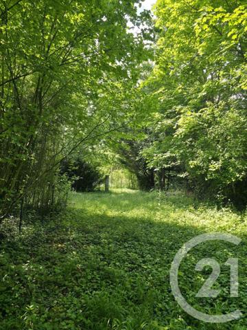 Terrain à vendre  1563 m2 AY CHAMPAGNE - 51