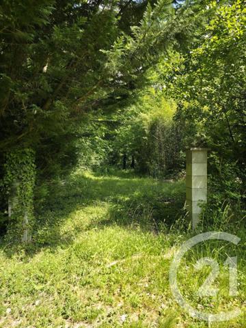 Terrain à vendre  1563 m2 AY CHAMPAGNE - 51