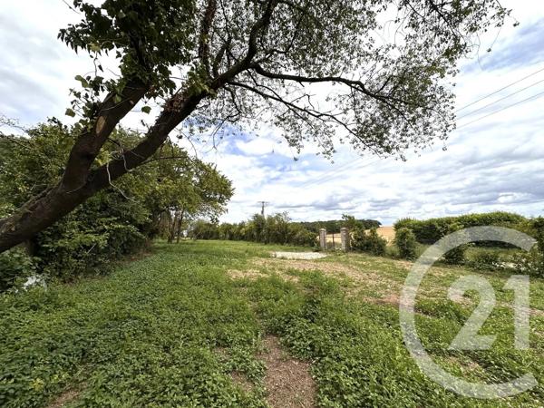Terrain à vendre  2715 m 2   ANGERVILLE  - 91