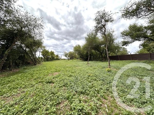 Terrain à vendre  2715 m 2   ANGERVILLE  - 91