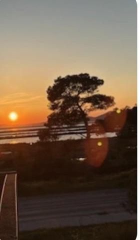 Appartement à HYERES, 83400 - 1 pièce 18m²