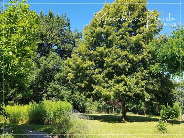 Maison en Pierre 4 chambres - Terrain 2229m2 avec Piscine 10x5