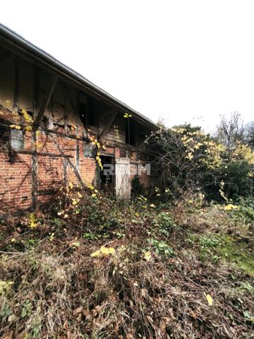 Courteranges (10270) MAISON PLEINE DE CHARME