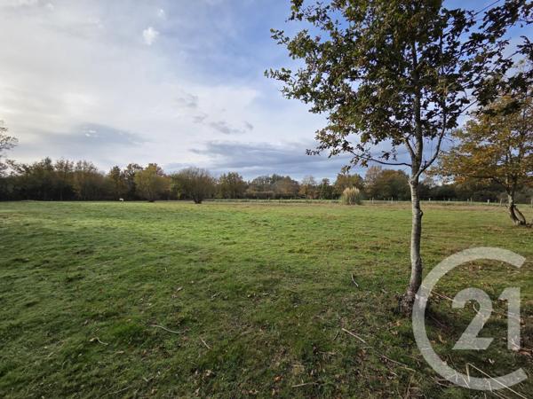 Terrain à vendre  2660 m2 ST GEORGES DE POINTINDOUX - 85