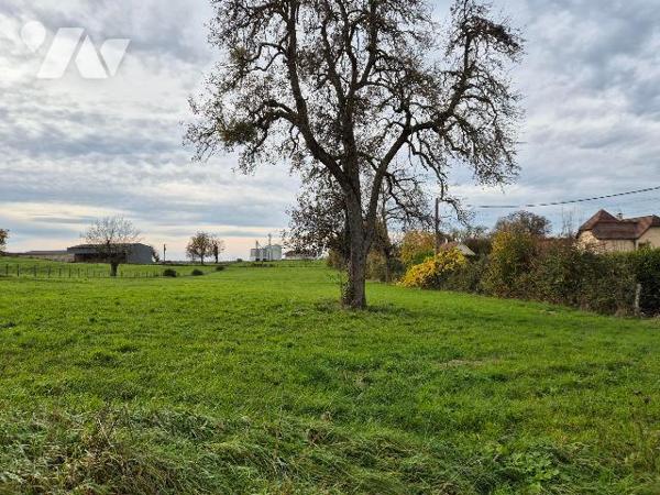 CHAUMERCENNE, terrain à bâtir (superficie à déterminer) non viabilisé