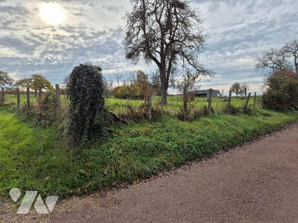 CHAUMERCENNE, terrain à bâtir (superficie à déterminer) non viabilisé